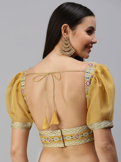 Orgenza Embroidered Padded Blouse