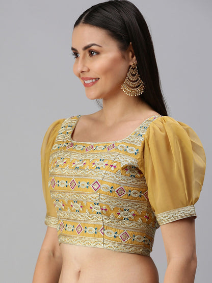 Orgenza Embroidered Padded Blouse